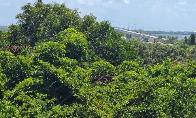 Jensen Beach Hütte | The Palms is secluded & view of the intercoastal.