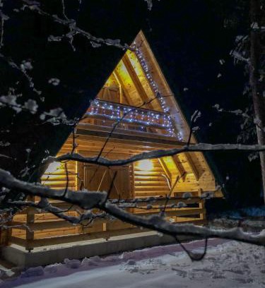 Zabljak Haus | The Pine Forest Cottage