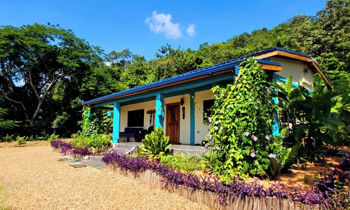 Negroman Haus | THE RUINS-NEW Charming 1-BR house-Onsite Untouched Mayan Ruin-Organic Garden