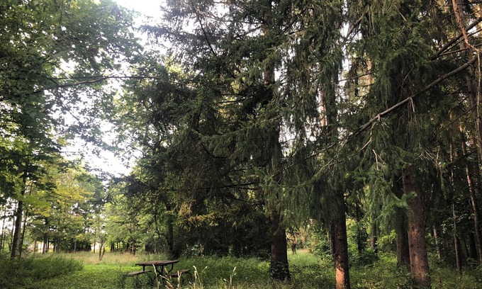 Delaware Kabine | The Rustic Side