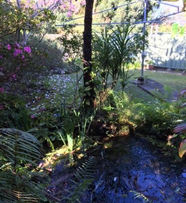 Coffs Harbour Wohnung | The singing frogs studio
