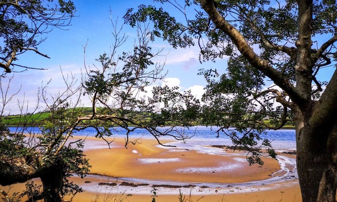 Ballyshannon Wohnung | The Snuggly Sheep Shepherd Hut Campview Farm Stay