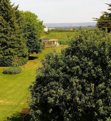 North Cadbury Haus | The Studio