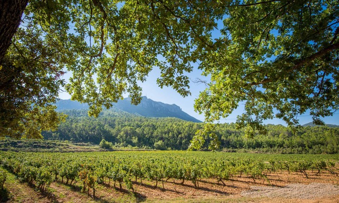 La Celle Haus | The Syrah and Chardonnay villas: 10 superb rooms in the heart of a vineyard.