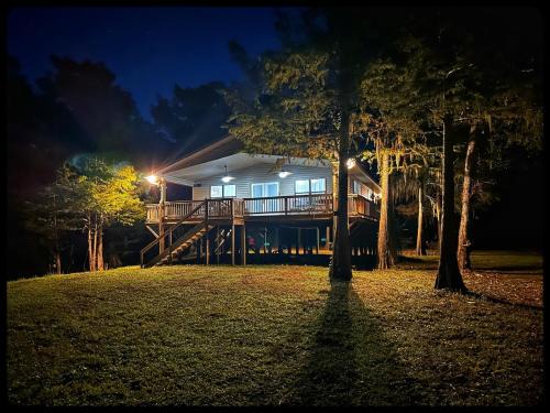Doyline Haus | The treehouse