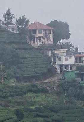 Pallivasal Haus | THE Unplugged Escape villa ,Munnar