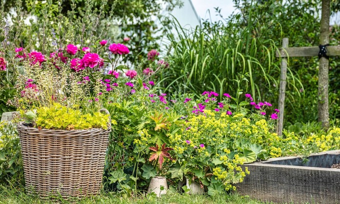 Barrow Kabine | The Weeping Willow Lodges