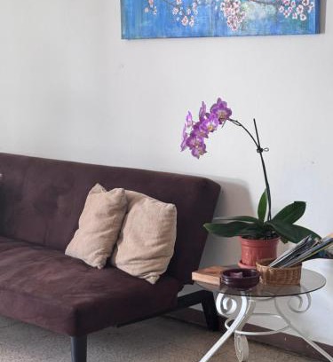 Mata Redonda Wohnung | Tico Experience in a Family-Friendly Neighborhood