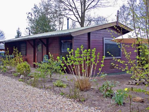 Ootmarsum Skihütte | Tidy chalet with a microwave in the Achterhoek