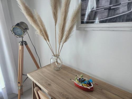 Tigre Wohnung | Tigre Studio Apartment