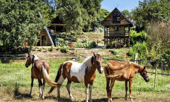 Cacia Kabine | Das Baum-Haus - Vale da Silva Villas