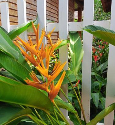 Ong Lang Hotel | Tim Hotel