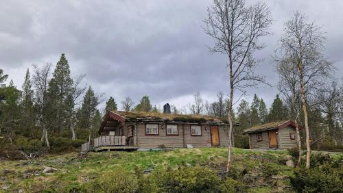 Galaa Haus | Timber Cabin With Views Near Røros