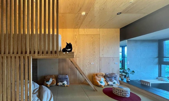 Toucheng Wohnung | Toucheng Joyful 宜蘭海景民宿-頭城小確幸 寵物友善 電動車免費充電 附早餐