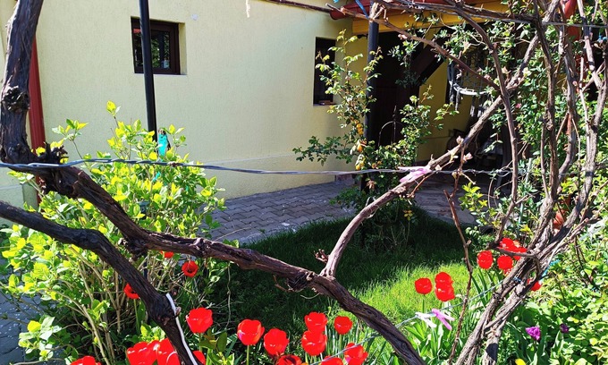 Cisnadie Haus | Tranquil building with WiF and parking, in Cisnădie, near Dracula's Castle.