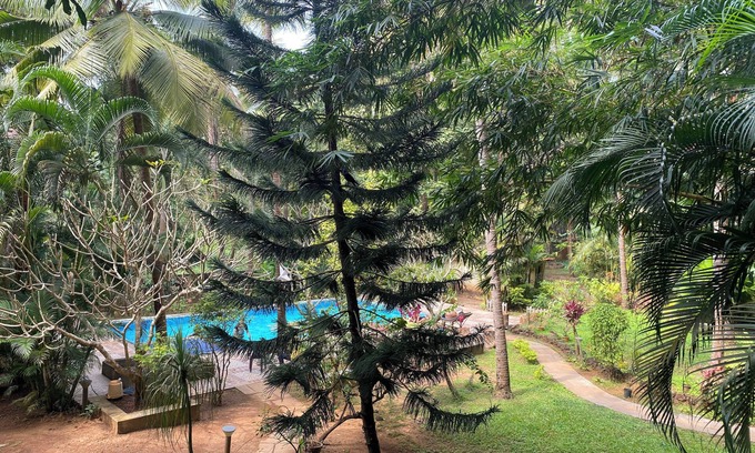 Palolem Wohnung | Tranquil Stay - Palolem Beach