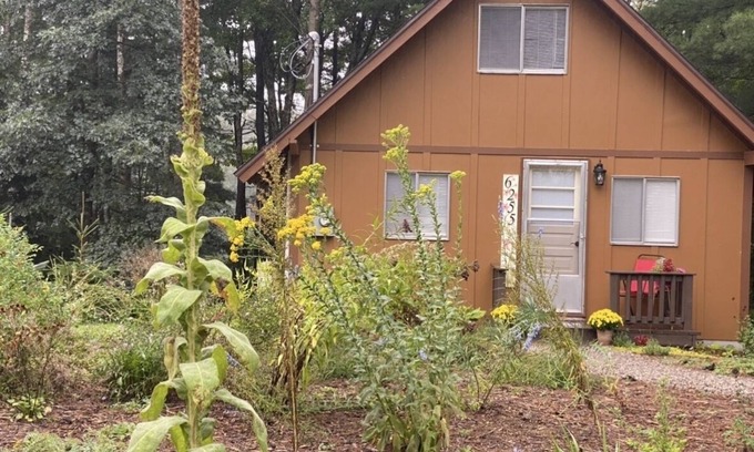 South Boardman Haus | Traverse City Area, Family Friendly, Waterfront, Modern Home