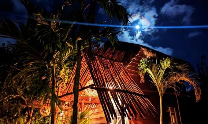 Isla Holbox Haus | Tree-House 3 min walk to beach/AC/king Bed/WIFI