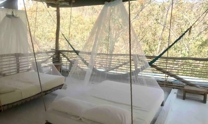 Arroyo Cruz Haus | Tree house Pergola Swimming pool at a virgin beach