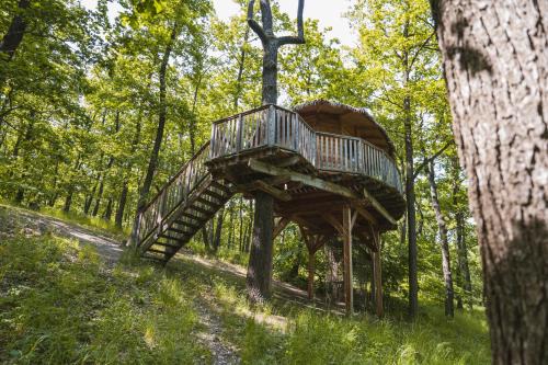 Jinacovice Sonstige | TREE HOUSE U Mravence