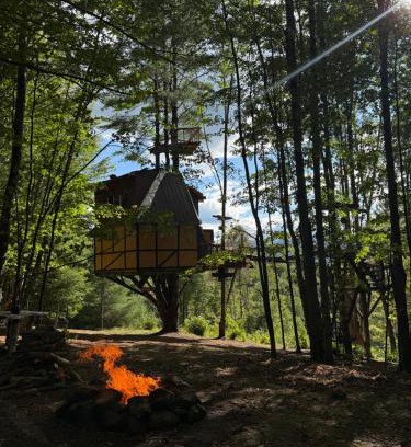 Braintree Sonstige | TREE HOUSE with 850 feet ZIP LINE