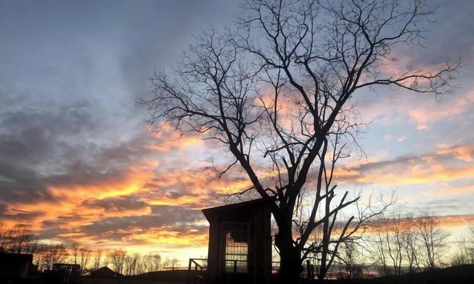 Pine Grove Kabine | Treehouse at Fairview Farms