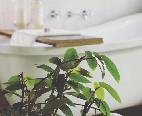 Echuca Wohnung | Treehouse Hideouts - Ground Level - Heygarth House Townhouse - Port of Echuca
