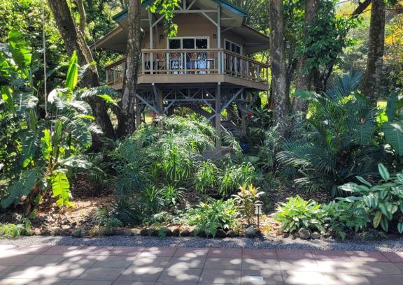 Pavones Haus | Treehouse La Hierba, Pavones