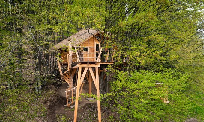 Muran Haus | TREEHOUSE POD LESOM