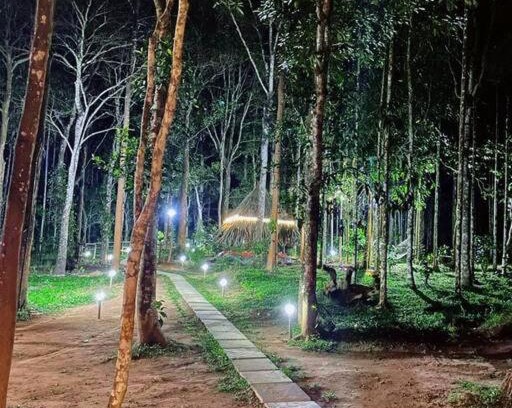 Kidanganad Villa | TreeSong Villa - Tranquil Forest Villa in Wayanad
