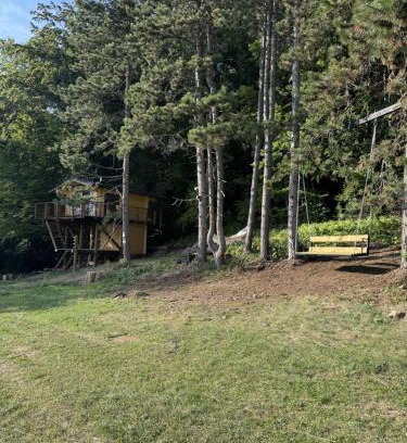 Horna Micina Sonstige | Treetop Tiny House Pod Korunami