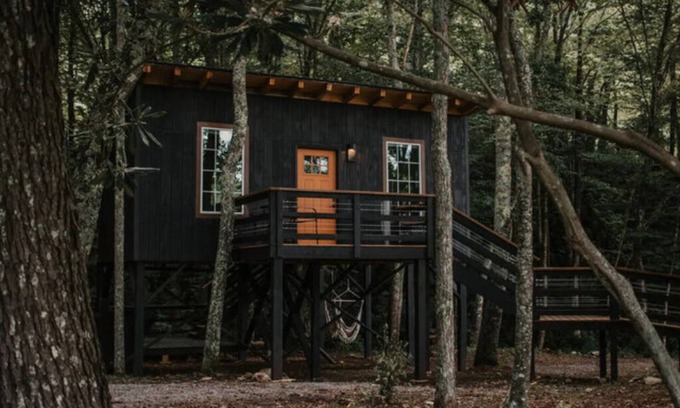 Flag Pond Kabine | Trent Treehouse Unit 7- Not Pet Friendly - Glamping Retro