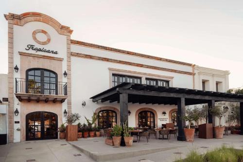 Downtown San Jose del Cabo Hotel | Tropicana Los Cabos, Tapestry Collection by Hilton