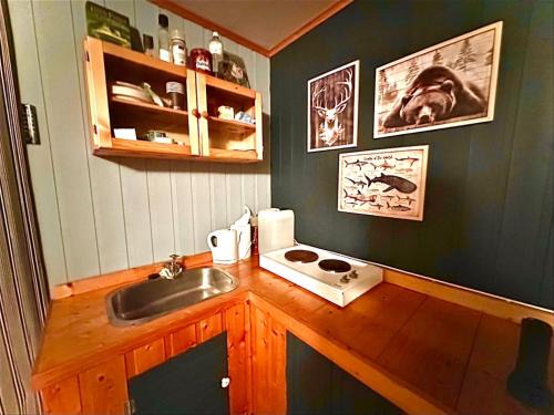 Meraker Sonstige | Turifoss Camping Cabin 1
