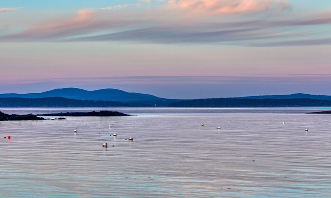Seal Harbor Hütte | NEUE AUFLISTUNG! Zwei-stöckige Wohnung mit Terrasse, Gasgrill, Feuerstelle und hundefreundlich!