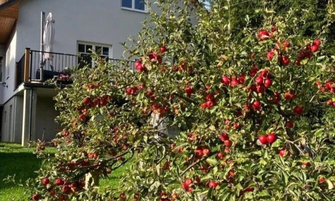 Cicmany Wohnung | U nás Čicmany