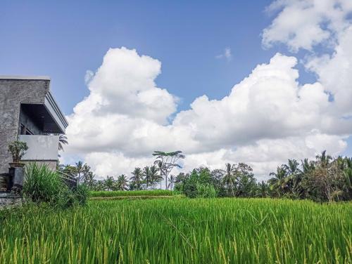 Kenderan Haus | Umah Geina Ubud