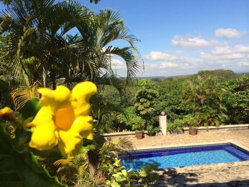 Coyolar Haus | Unique Architecture, 3 Pools and Wi-Fi