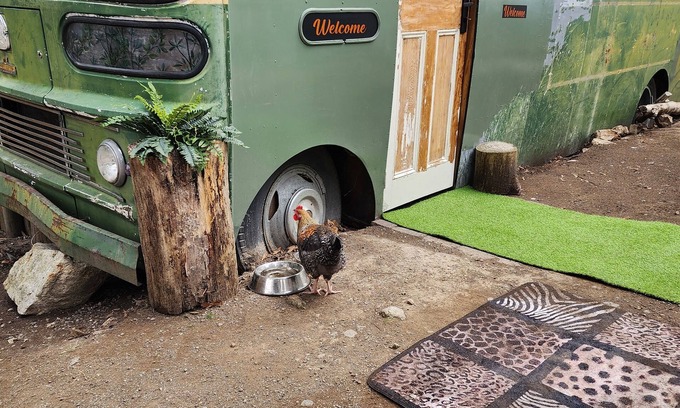 Southern Wohnung | Unique, Exciting Bus Located on 63 acres with a Cosy woodheater. Luxury.