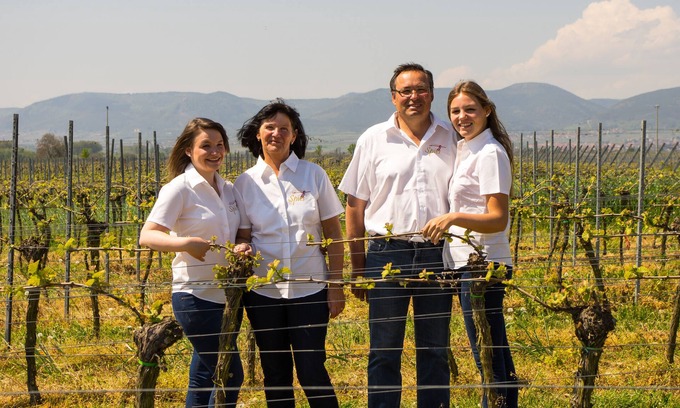 Neustadt-Duttweiler Wohnung | Urlaub in einem Weingut. Hautnah die Arbeit eines Winzers miterleben.
