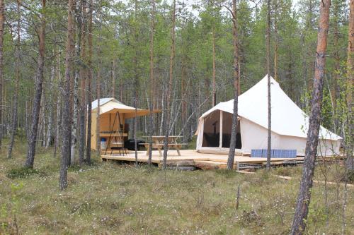 Asele Sonstige | Västerled Glamp