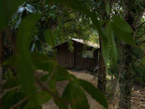 Copey Haus | Valchi Hospedaje de Montaña