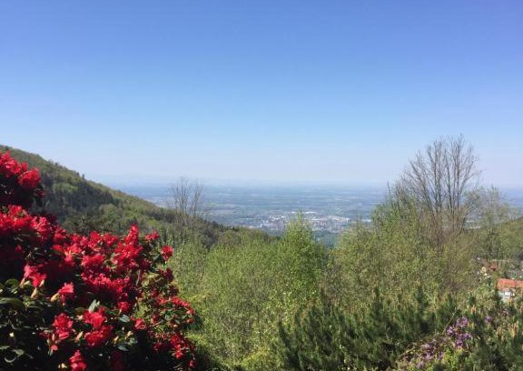 Sasbachwalden Wohnung | View from the Rock