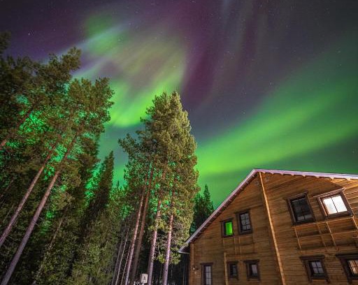 Sirkka Wohnung | Villa ArcticFox Levi