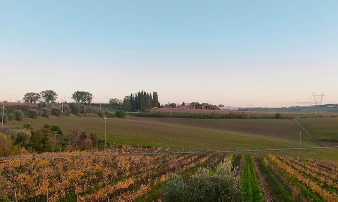 Ferretto Haus | Villa vista vigneto