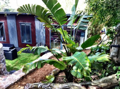 Tarifa Haus | Villas La Ahumada Villa Nepal