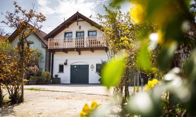 Novy Saldorf-Sedlesovice Wohnung | Vinařský apartmán Špalek