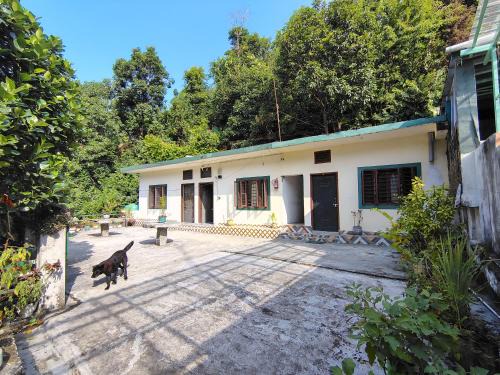 Tapovan Haus | Vishranti homestay