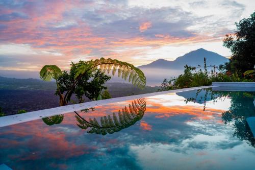 Kintamani Hotel | W Green Kintamani