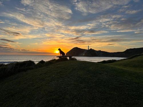 Castlepoint Haus | Waiwhare on the Beach - Beach Front Property